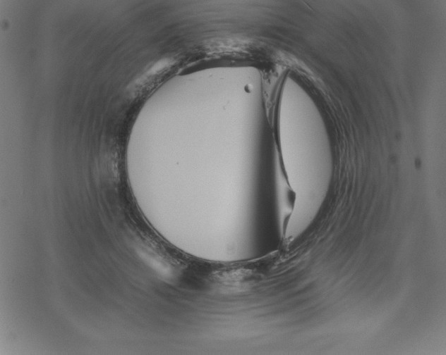 X0000077290452200611101347