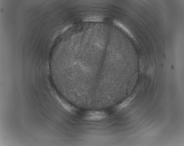 X0000077290453200611101347