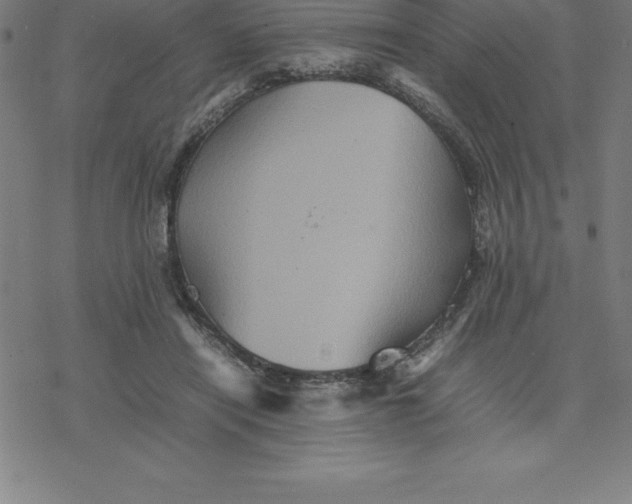 X0000077290454200611101347