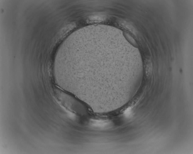 X0000077290455200611101347