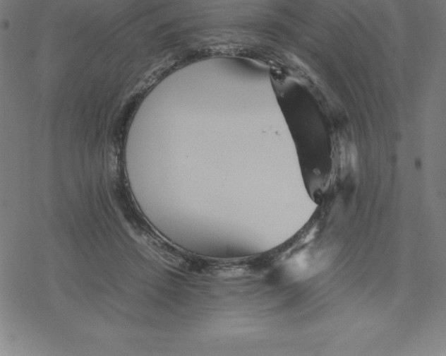 X0000077290456200611101347