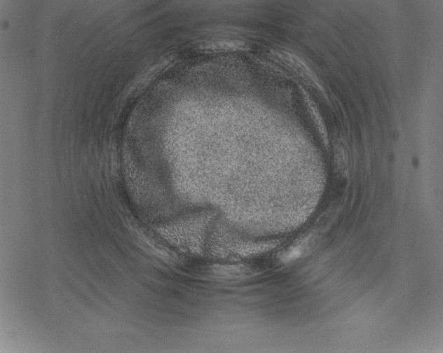 X0000077290457200611101347