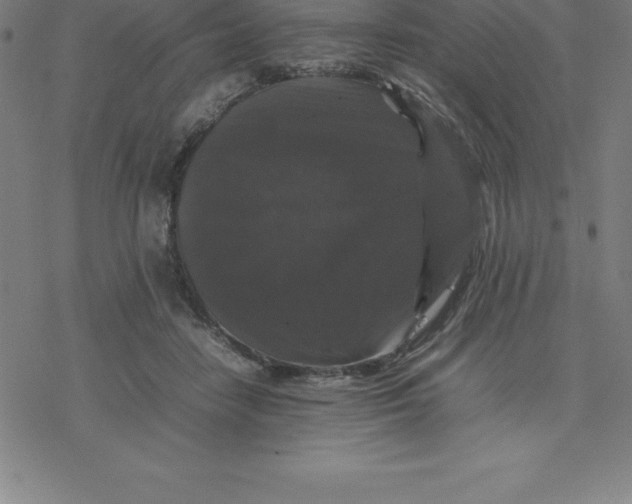 X0000077290458200611101347