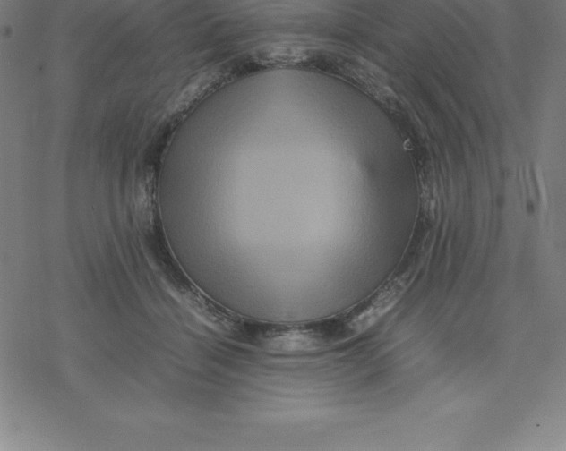 X0000077290460200611101347