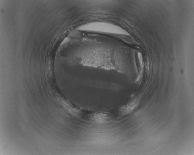 X0000077290462200611101347