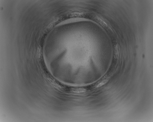 X0000077290463200611101347