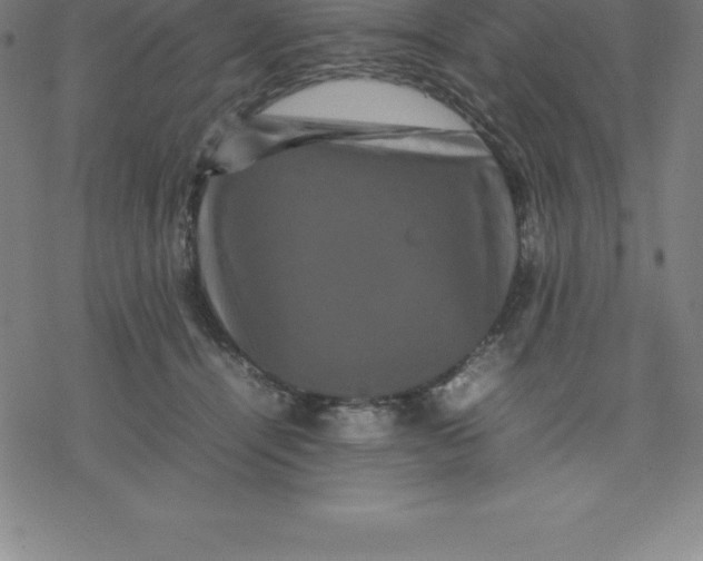 X0000077290464200611101347