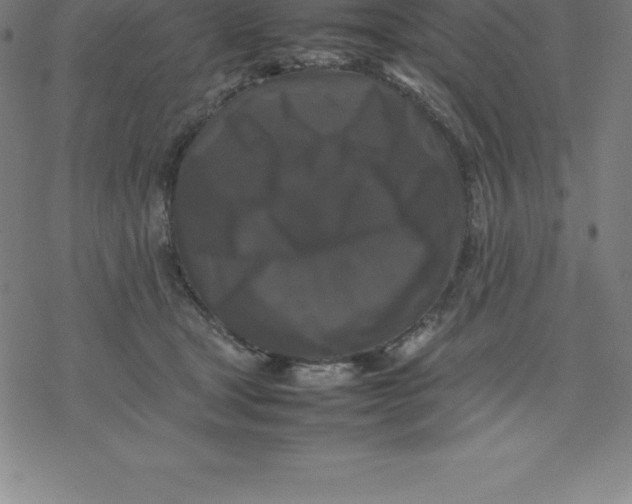 X0000077290465200611101347