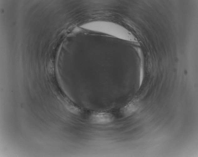 X0000077290467200611101347