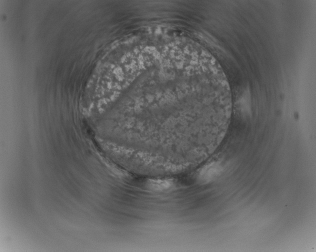 X0000077290469200611101347