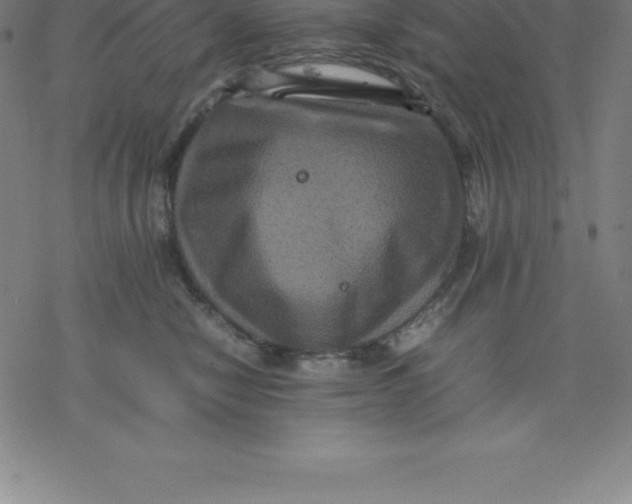 X0000077290470200611101347