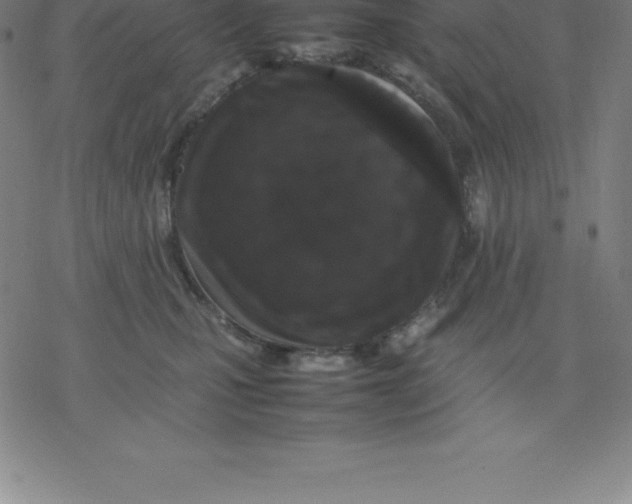 X0000077290471200611101347