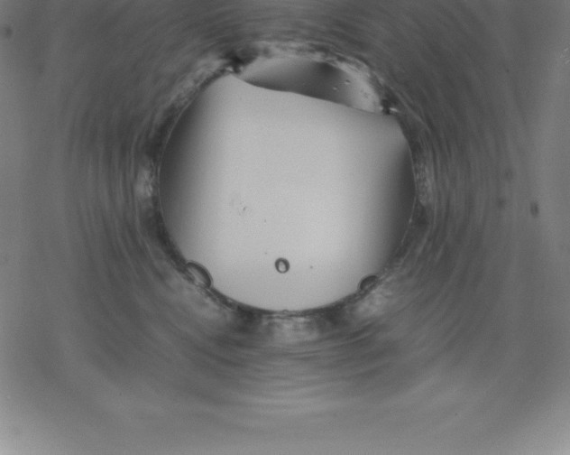 X0000077290472200611101347