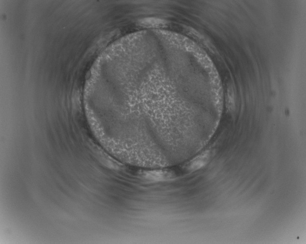 X0000077290473200611101347