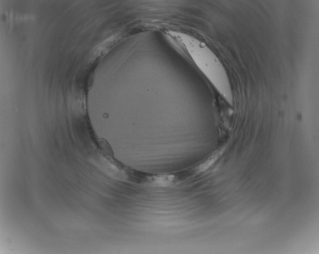 X0000077290474200611101347