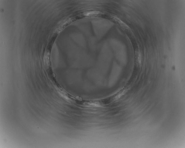 X0000077290475200611101347