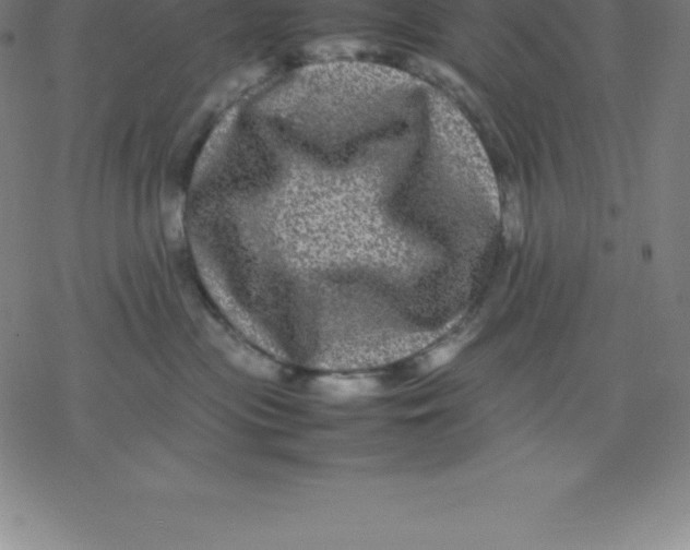 X0000077290477200611101347