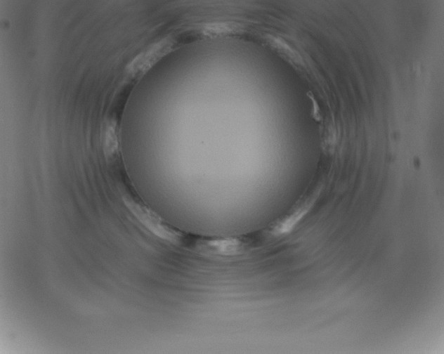 X0000077290478200611101347