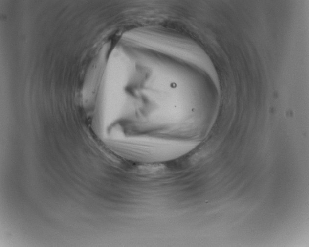 X0000077290480200611101347