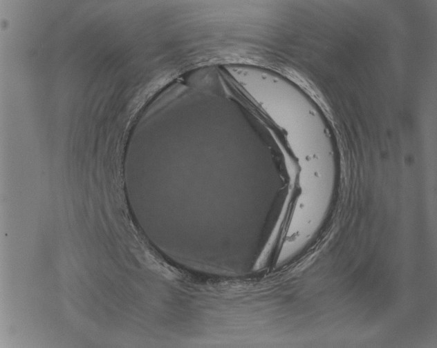 X0000077290481200611101347