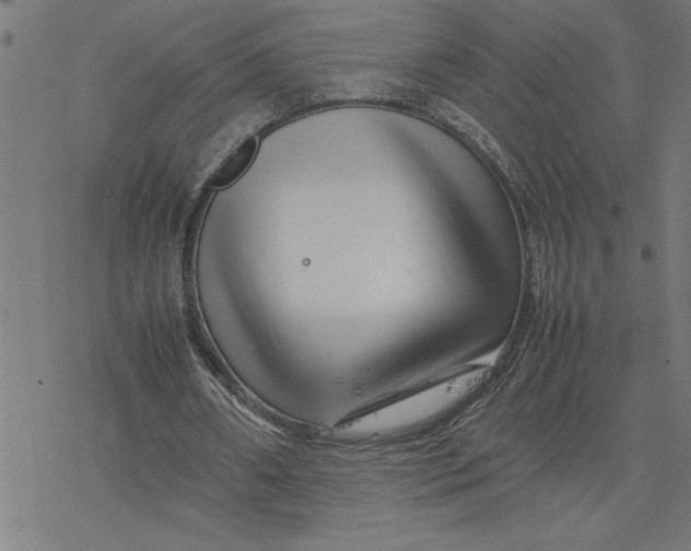 X0000077290482200611101347