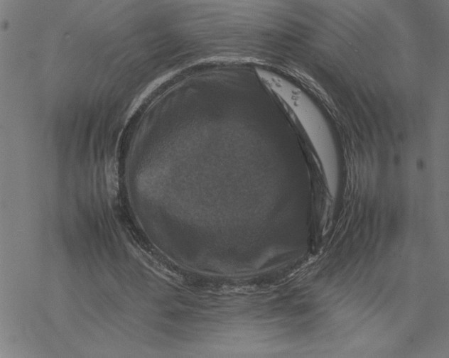 X0000077290484200611101347