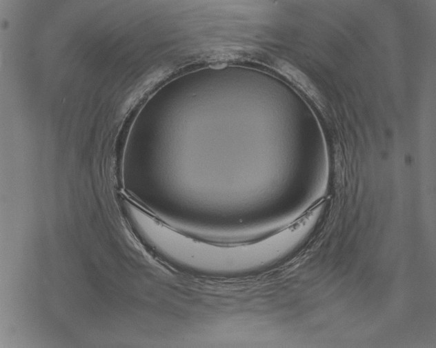 X0000077290485200611101346