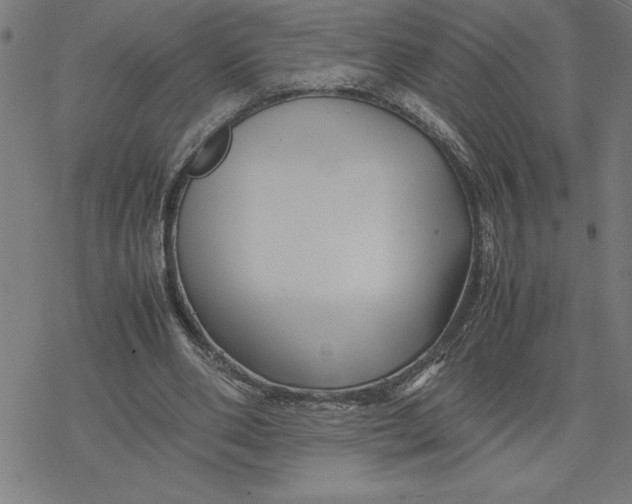 X0000077290486200611101346