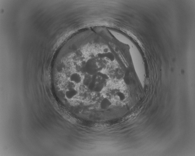 X0000077290487200611101346