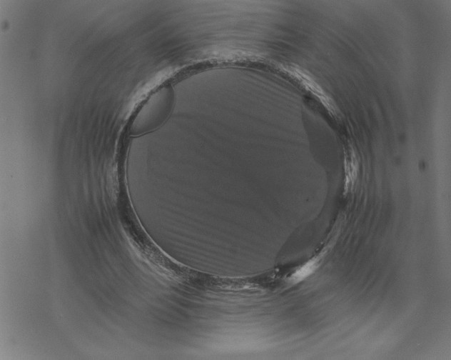 X0000077290488200611101346