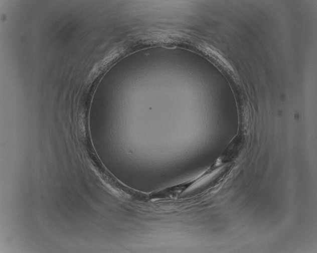 X0000077290489200611101346