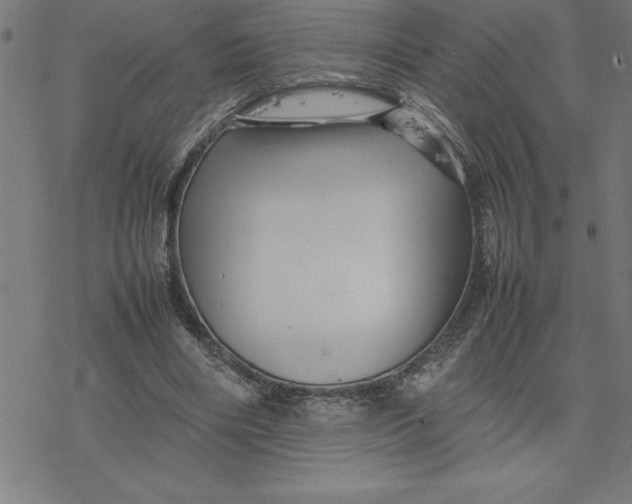 X0000077290490200611101346