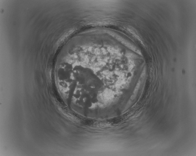 X0000077290491200611101346