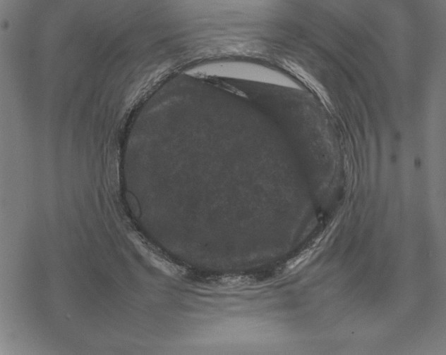 X0000077290493200611101346