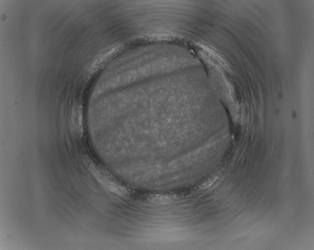 X0000077290494200611101346