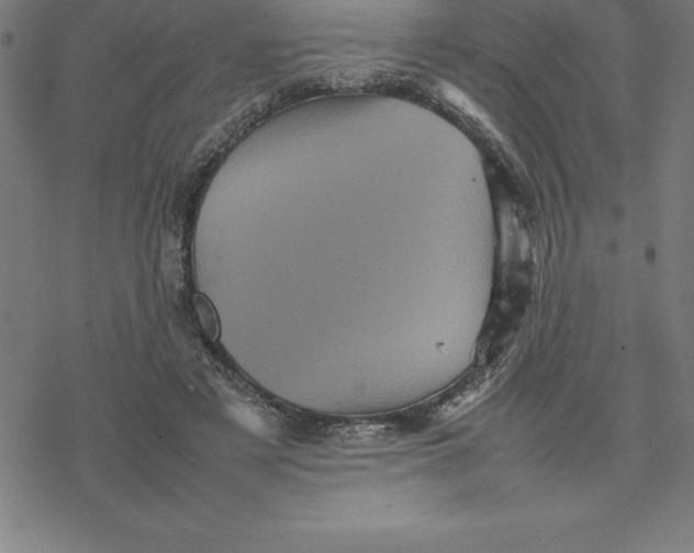 X0000077290497200611101346