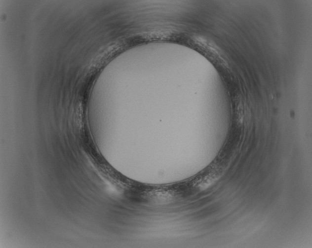 X0000077290498200611101346