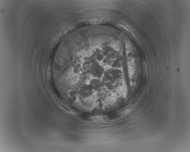 X0000077290499200611101346