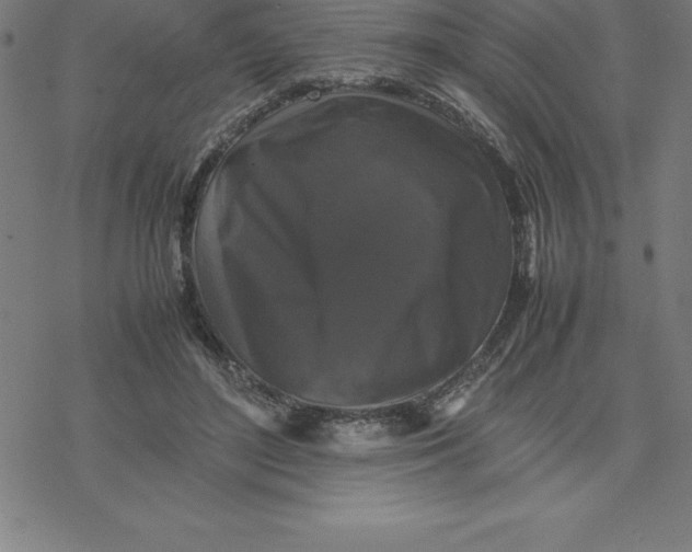 X0000077290500200611101346