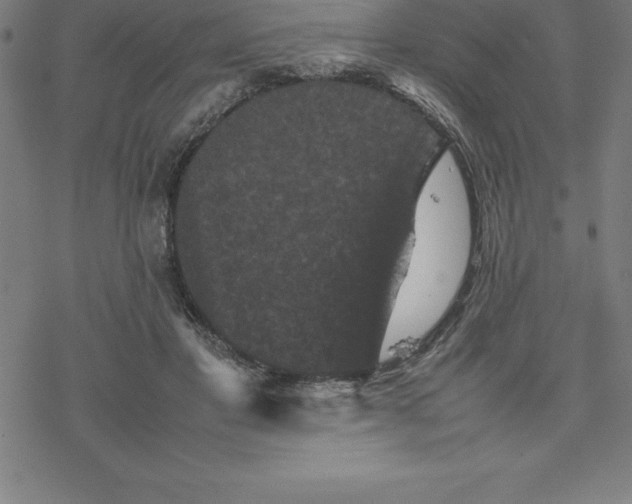 X0000077290501200611101346