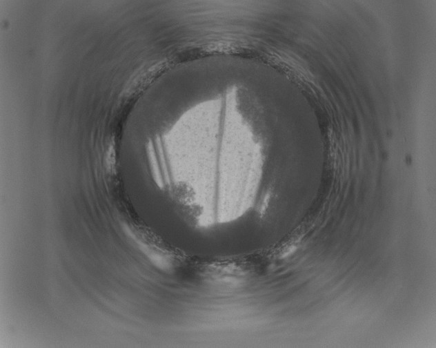 X0000077290502200611101346