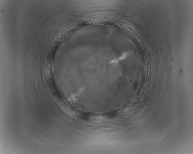 X0000077290503200611101346