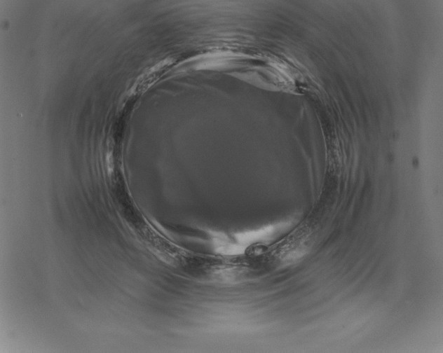 X0000077290504200611101346