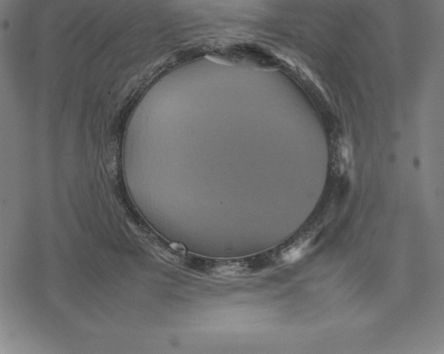 X0000077290505200611101346