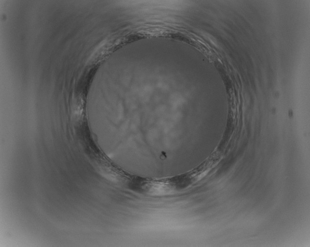 X0000077290507200611101346