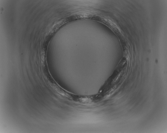 X0000077290509200611101346