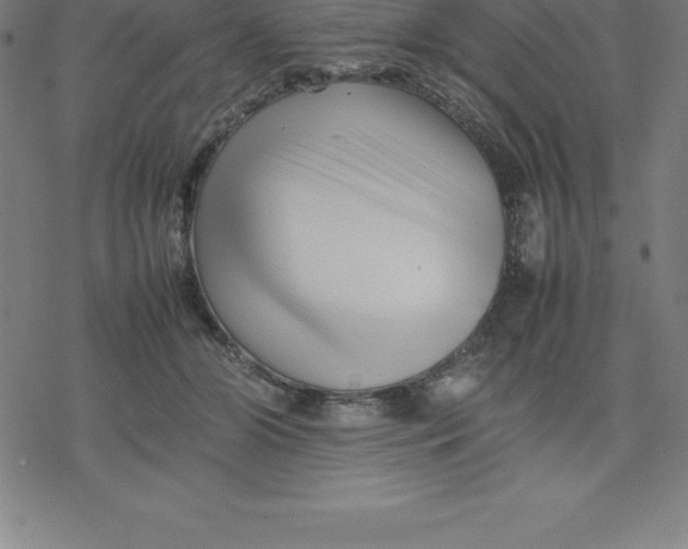 X0000077290510200611101346