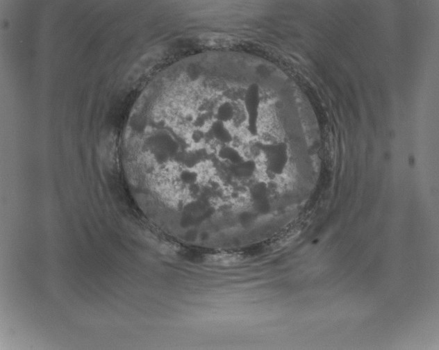 X0000077290511200611101346