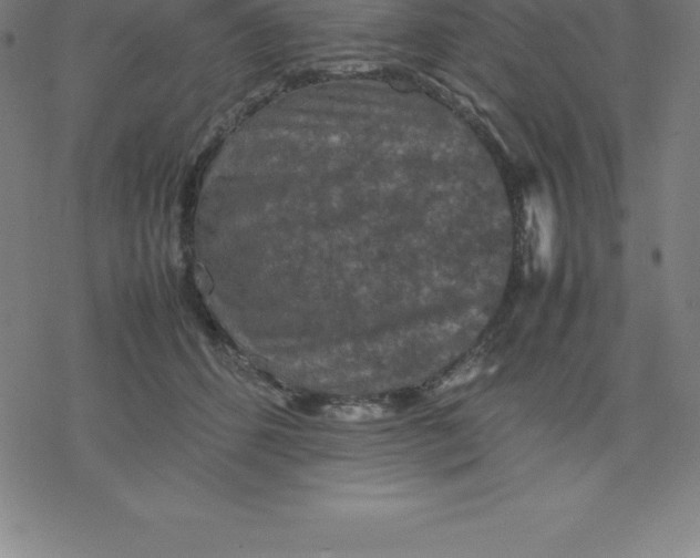 X0000077290512200611101346