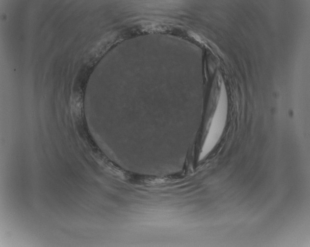 X0000077290513200611101346